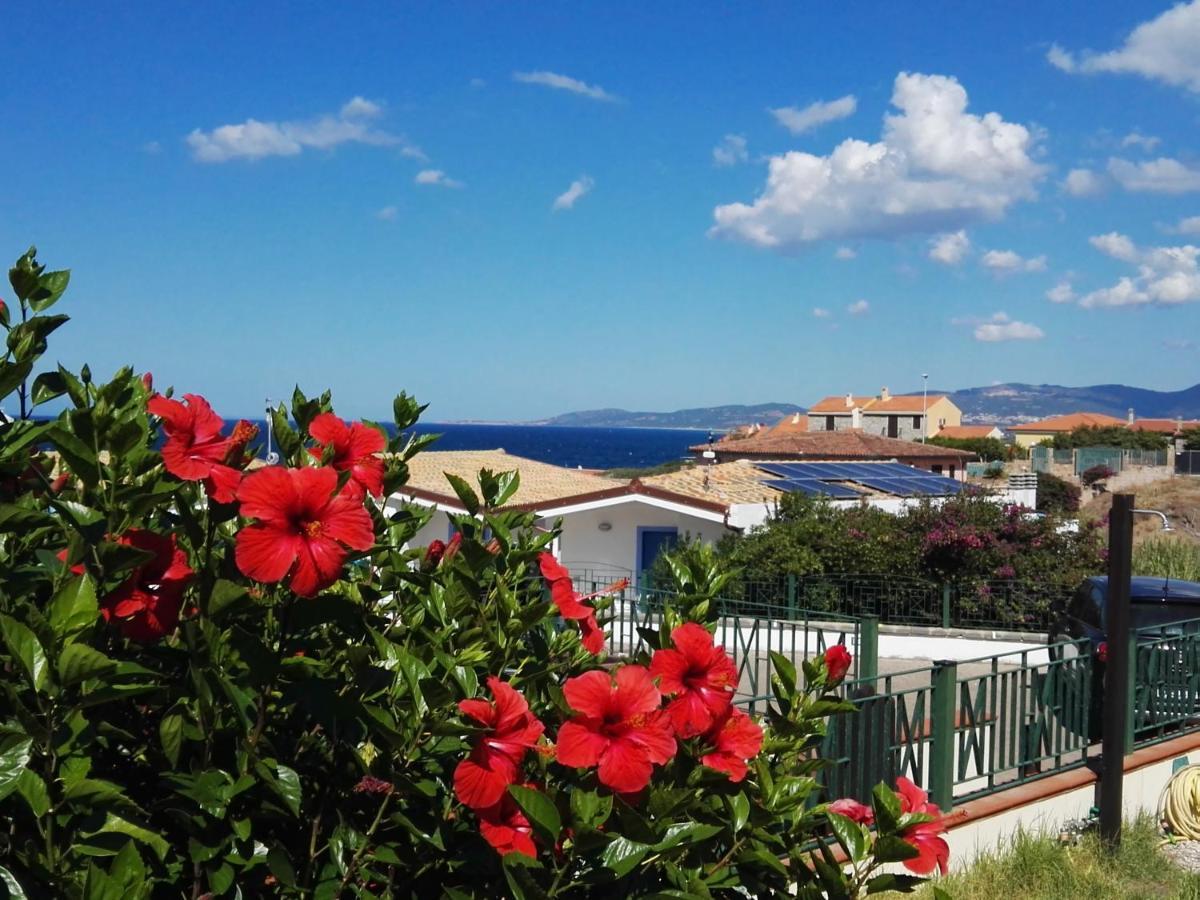 Sardamare Apartments Appartamenti La Ciaccia فاليدوريا المظهر الخارجي الصورة