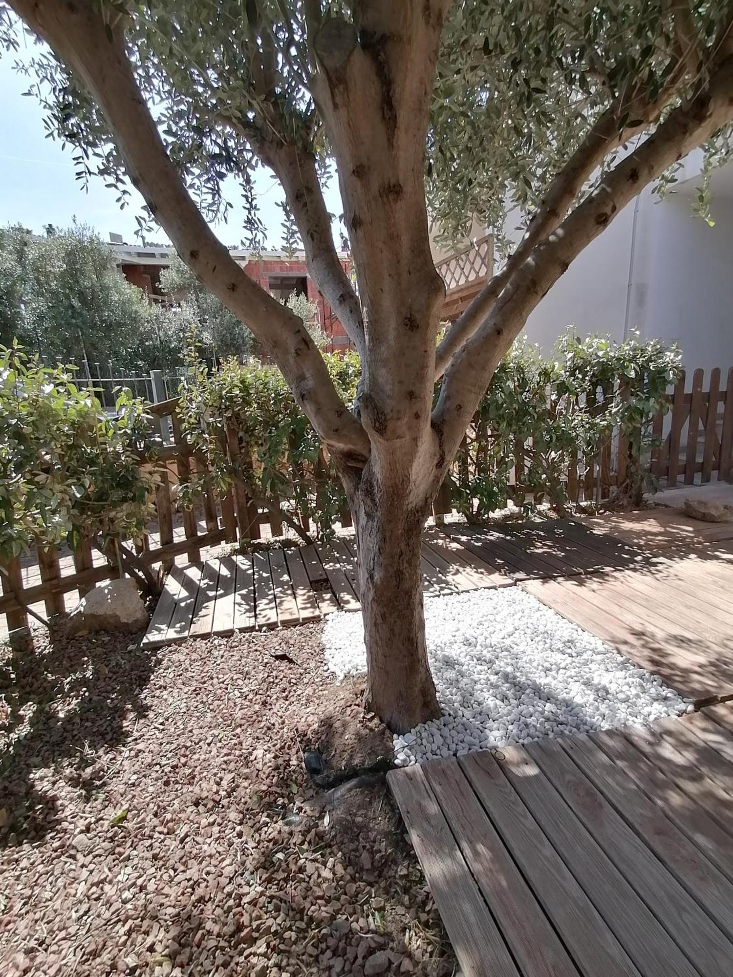 Sardamare Apartments Appartamenti La Ciaccia فاليدوريا الغرفة الصورة
